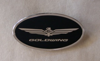 Oval Black Enamel Gold Wing Pin